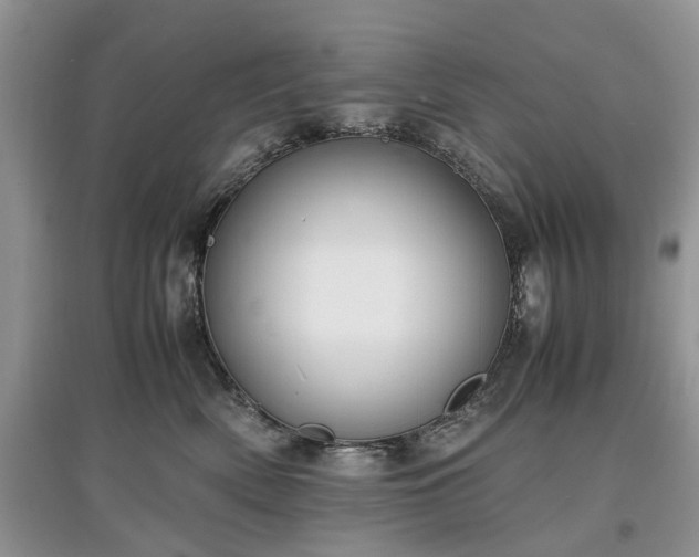 X0000097620522200803071513