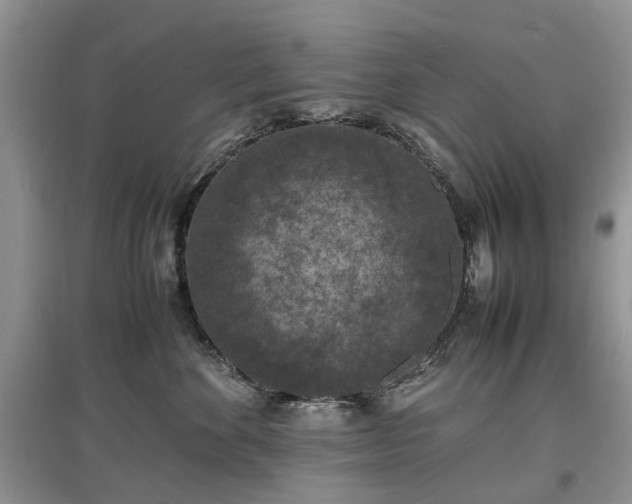 X0000097620524200803071513