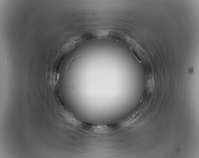 X0000097620525200803071513