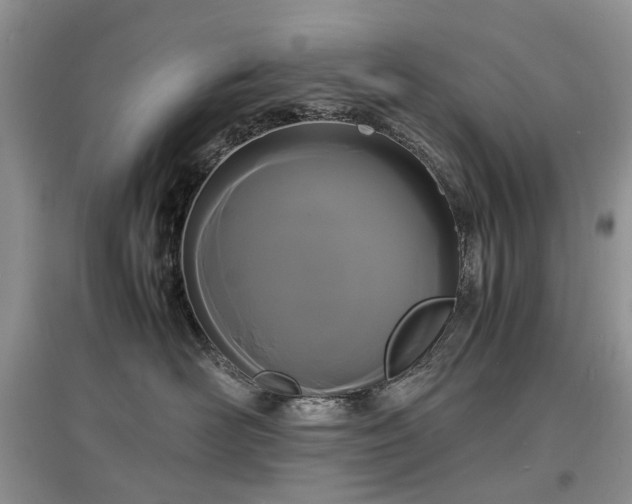 X0000097620526200803071513