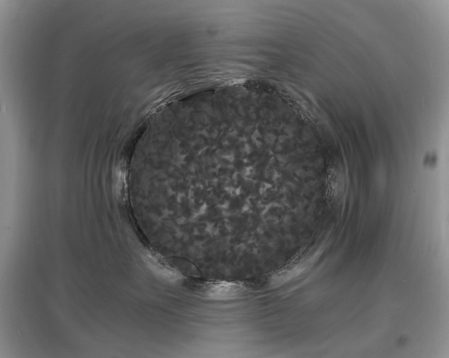 X0000097620527200803071513