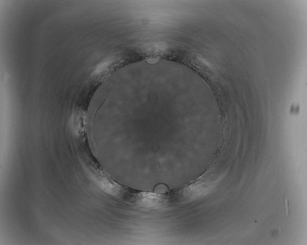 X0000097620528200803071512