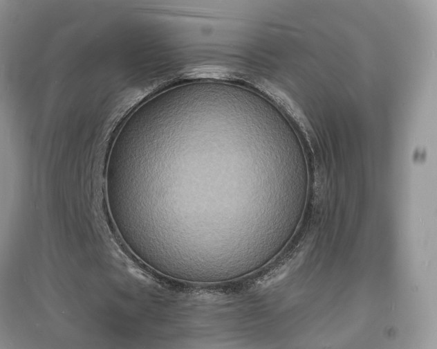 X0000097620529200803071512
