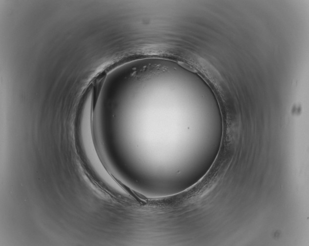 X0000097620530200803071512