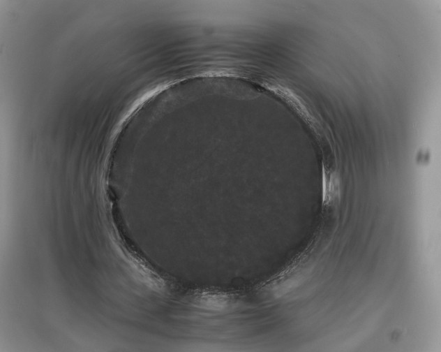 X0000097620531200803071512