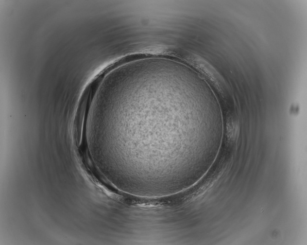 X0000097620532200803071512