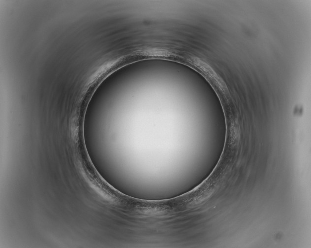 X0000097620533200803071512