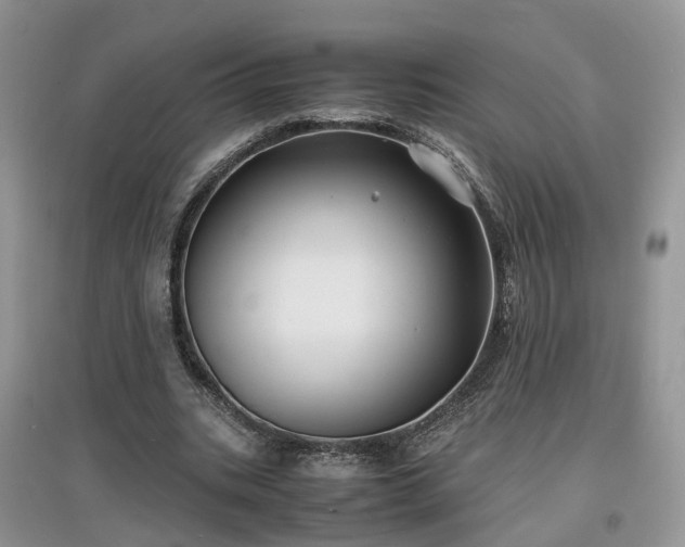 X0000097620535200803071512