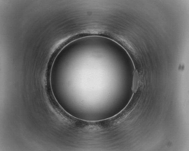 X0000097620536200803071512
