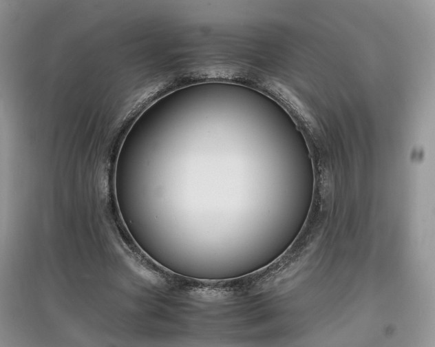 X0000097620537200803071512