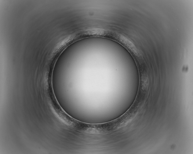 X0000097620538200803071512