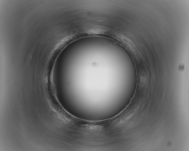 X0000097620539200803071512