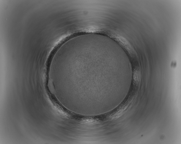 X0000097620540200803071512