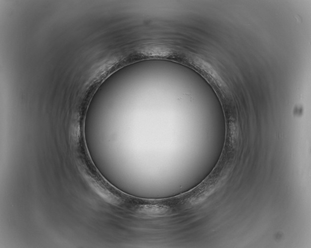 X0000097620541200803071512