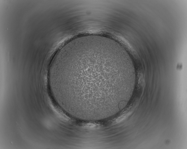 X0000097620542200803071512