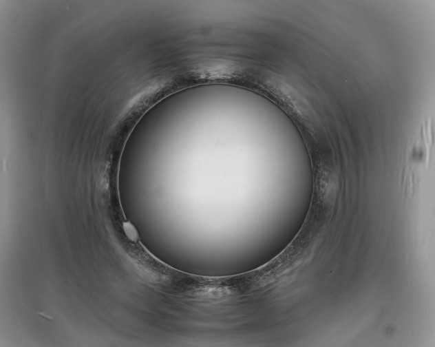 X0000097620543200803071512