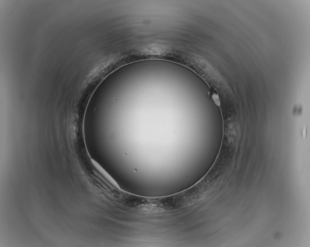 X0000097620544200803071512