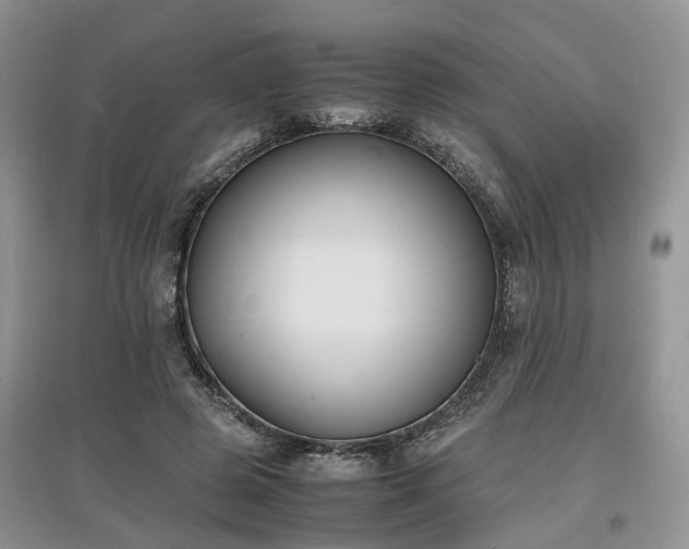 X0000097620545200803071512