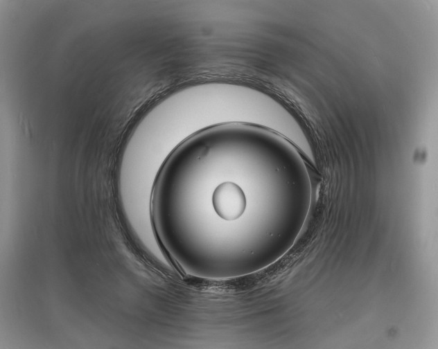 X0000097620546200803071512