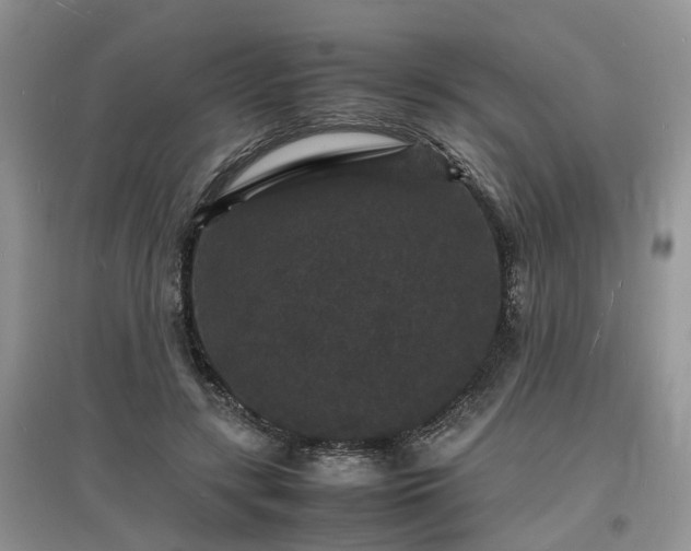 X0000097620547200803071512