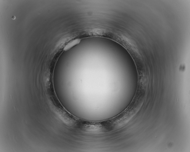 X0000097620548200803071512