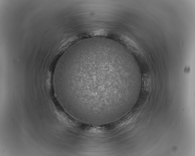 X0000097620550200803071512