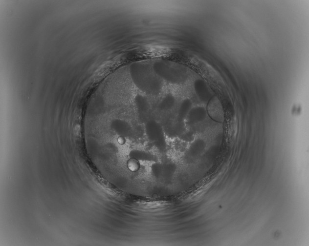 X0000097620553200803071512