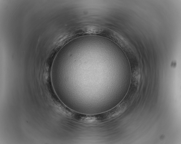 X0000097620554200803071512