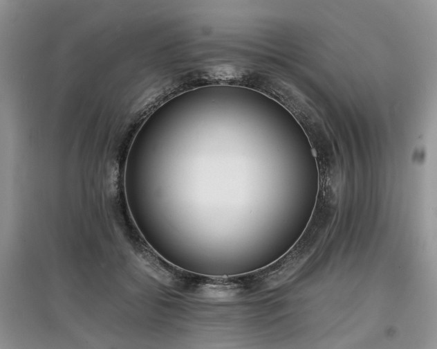 X0000097620556200803071512