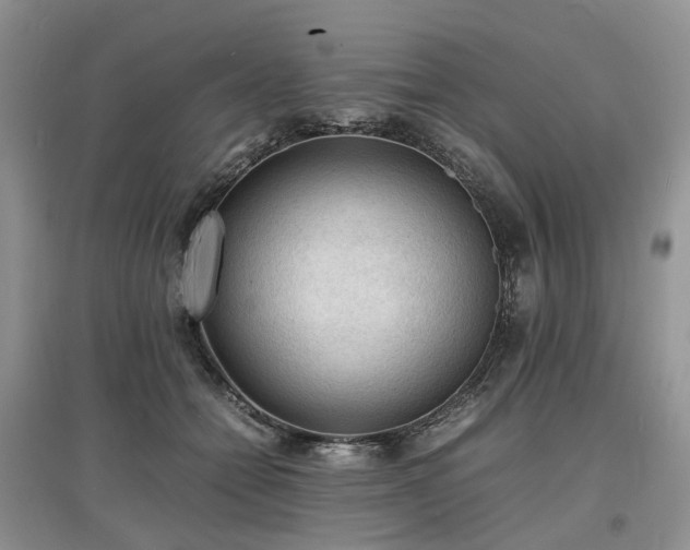 X0000097620558200803071512