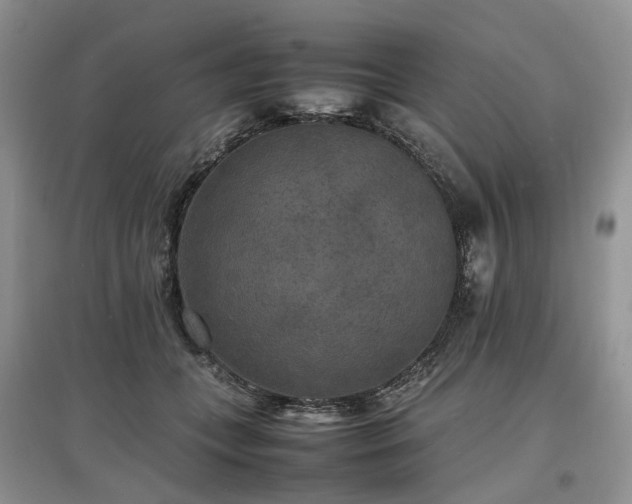 X0000097620559200803071512