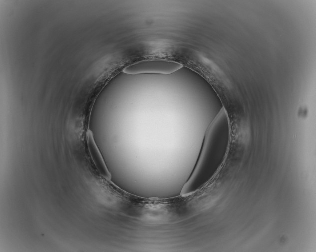 X0000097620560200803071512