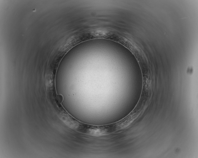 X0000097620561200803071512