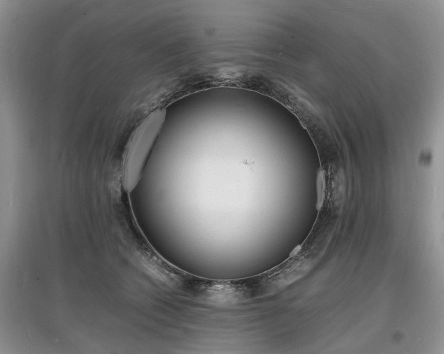 X0000097620562200803071512