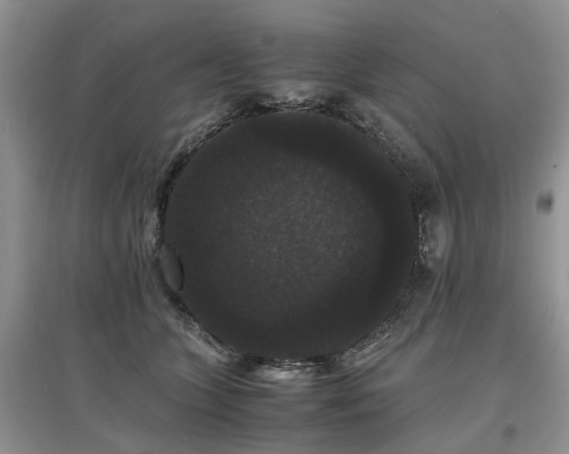 X0000097620563200803071512