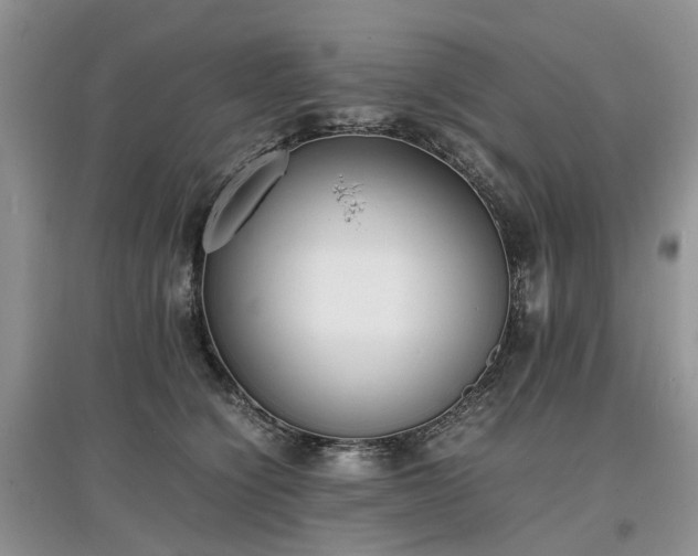 X0000097620564200803071512