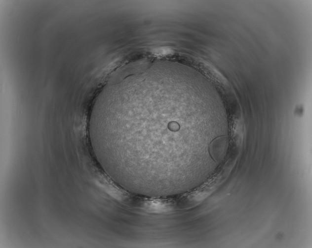 X0000097620565200803071512