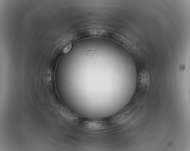 X0000097620567200803071512