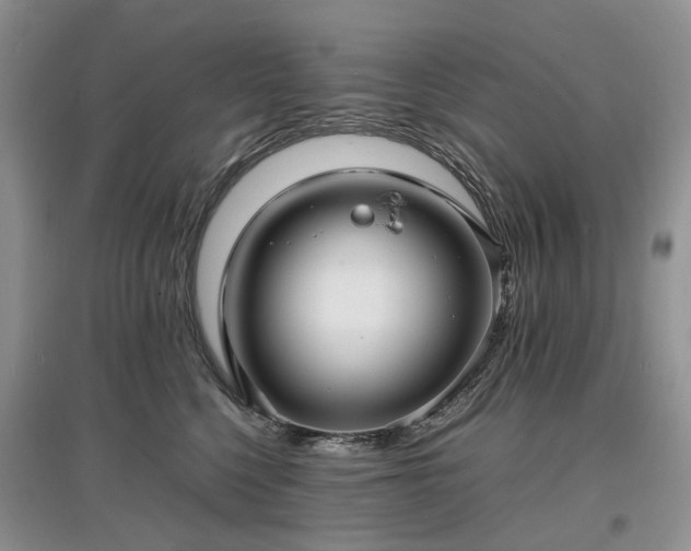 X0000097620568200803071512
