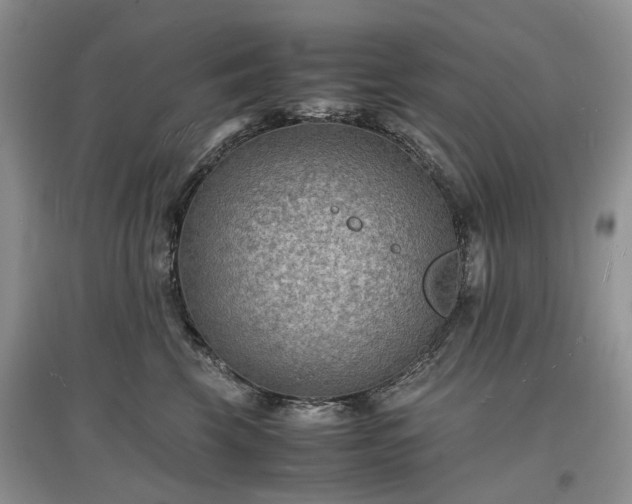X0000097620569200803071512