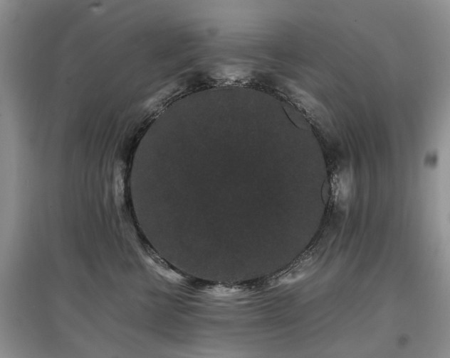 X0000097620570200803071512