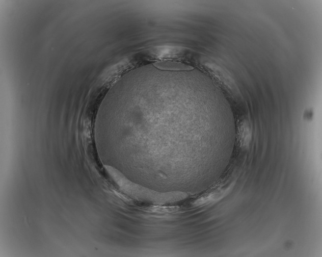 X0000097620571200803071512