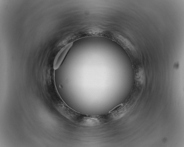 X0000097620572200803071512