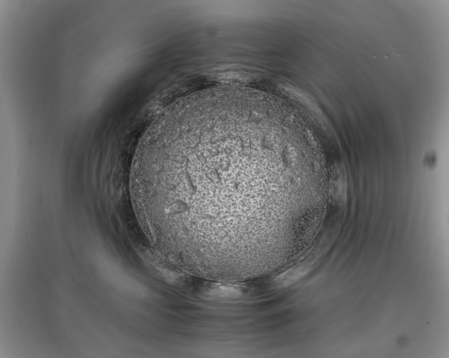 X0000097620573200803071512