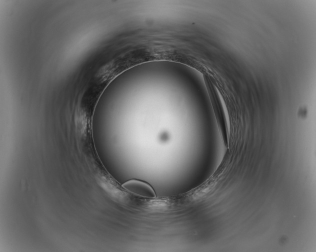 X0000097620574200803071512
