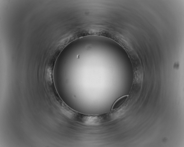 X0000097620575200803071512
