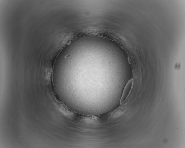 X0000097620576200803071512