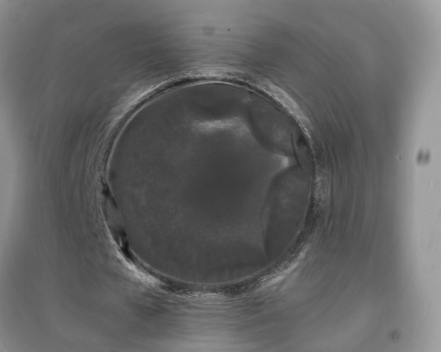 X0000097620577200803071512