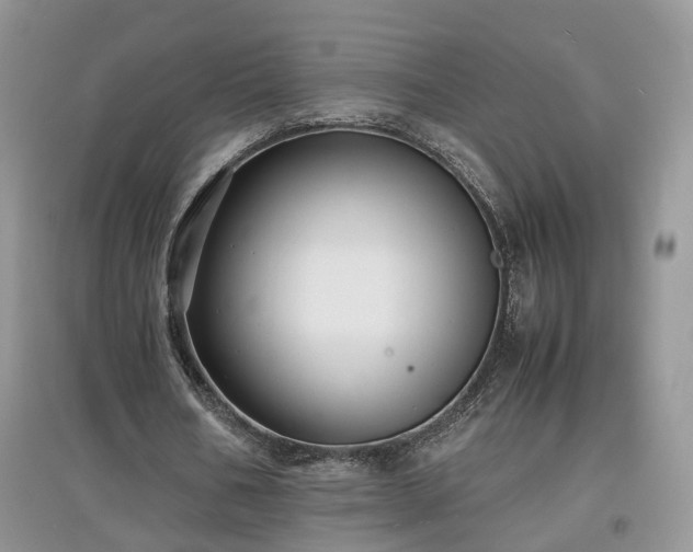 X0000097620578200803071512