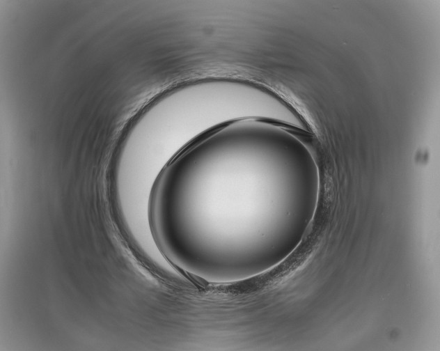 X0000097620581200803071512